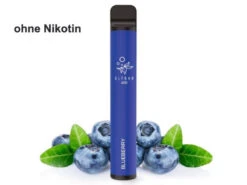 Elf Bar Vape - Blueberry Ohne Nikotin