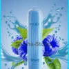 HQD Wave / Surv - Blue Razz Vape -E-Zigaretten Geschäft b94ffc 79f0ebdfbc2d407db50c44f342dcb6fcmv2